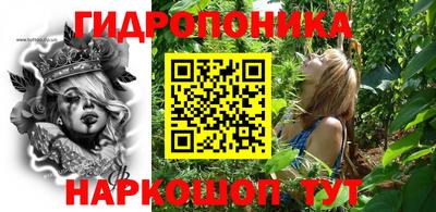крисы Краснознаменск