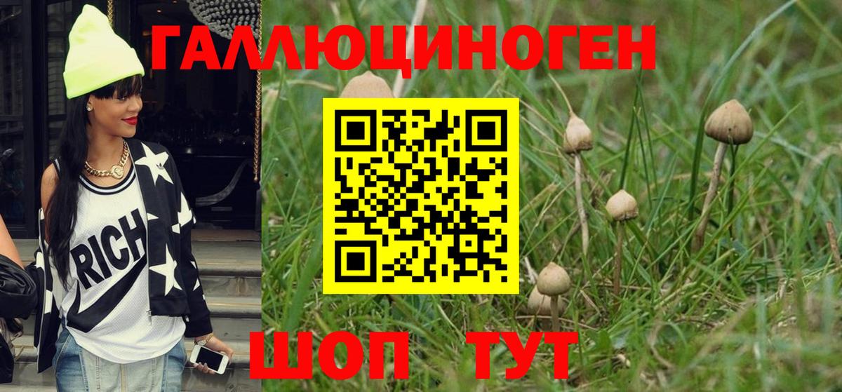 Галлюциногенные грибы Cubensis Георгиевск